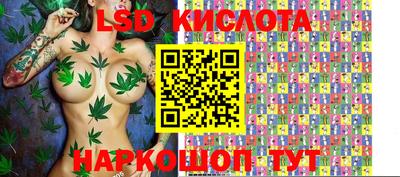 молекула духа Камышлов