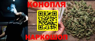 молекула духа Камышлов