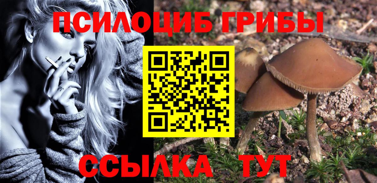 как найти наркотики  Вход с VPN  Кузнецк  Псилоцибиновые грибы прущие грибы 