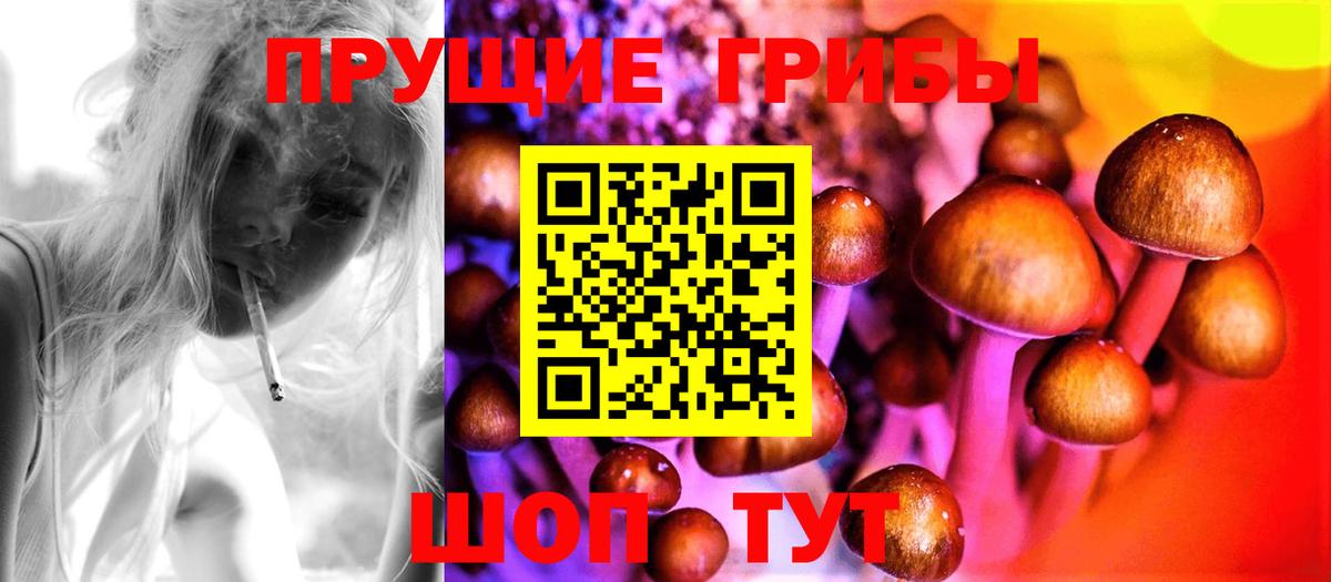 Галлюциногенные грибы мухоморы Кузнецк